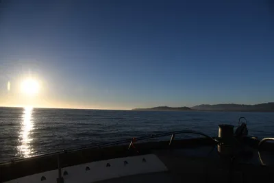 DSC_6694 (Large).JPG